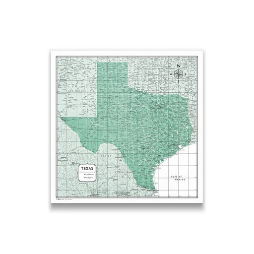 Texas Map Poster - Green Color Splash