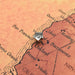 Silver Home Map Push Pins Conquest Maps LLC